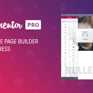 ELEMENTOR PRO