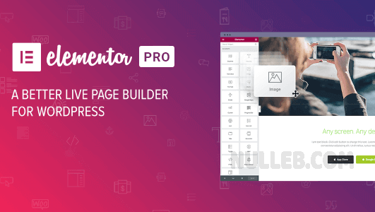 ELEMENTOR PRO